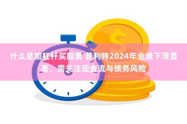 什么是加杠杆买股票 普利特2024年业绩下滑显著，需关注现金流与债务风险