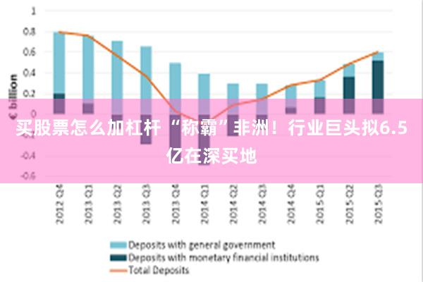 买股票怎么加杠杆 “称霸”非洲！行业巨头拟6.5亿在深买地