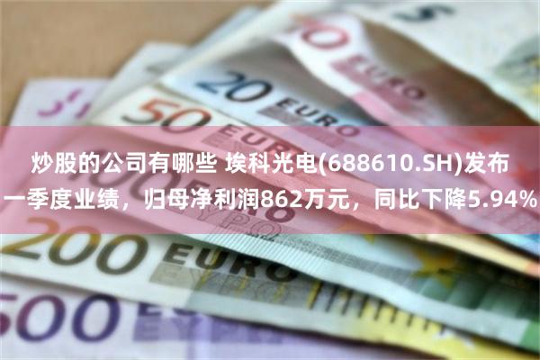 炒股的公司有哪些 埃科光电(688610.SH)发布一季度业绩，归母净利润862万元，同比下降5.94%