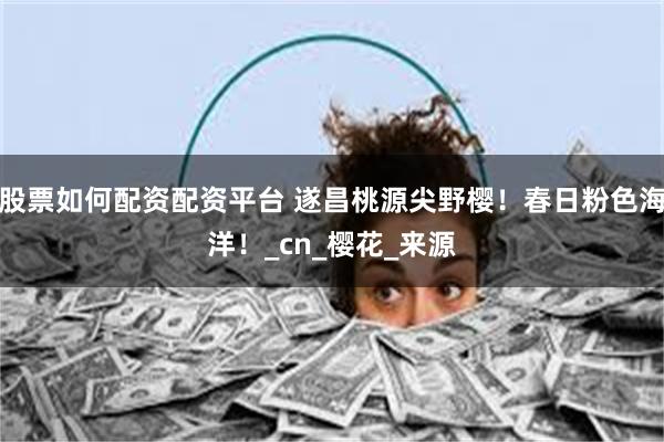 股票如何配资配资平台 遂昌桃源尖野樱！春日粉色海洋！_cn_樱花_来源