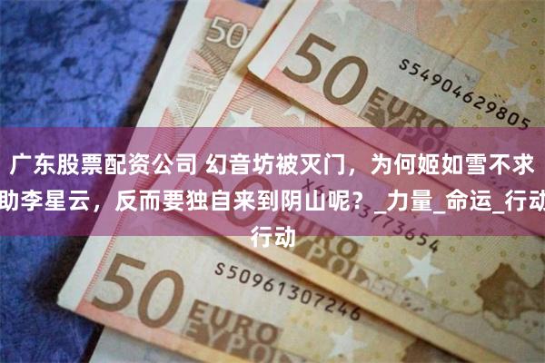 广东股票配资公司 幻音坊被灭门，为何姬如雪不求助李星云，反而要独自来到阴山呢？_力量_命运_行动