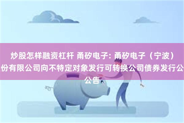 炒股怎样融资杠杆 甬矽电子: 甬矽电子(宁波)股份有限公司向不特定对象发行可转换公司债券发行公告
